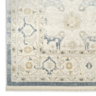 Nourison Pardis PRD03 Light Blue Area Rug Texture Image