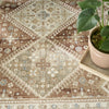 Nourison Pardis PRD04 Rust Area Rug Corner Image