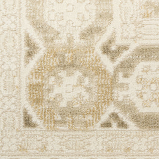 Nourison Pardis PRD05 Ivory Beige Area Rug Swatch Image