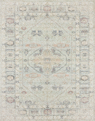 Karastan Zula Prieska Light Teal Area Rug