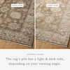 Loloi Priscilla PRL-01 Bark/Ivory Area Rug Lifestyle Image