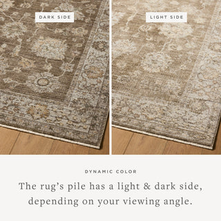Loloi Priscilla PRL-01 Bark/Ivory Area Rug Lifestyle Image