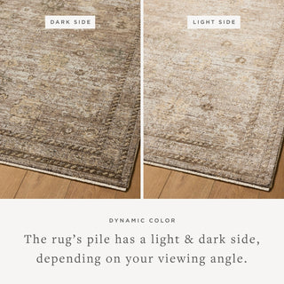 Loloi Priscilla PRL-05 Sand/Earth Area Rug Lifestyle Image Feature