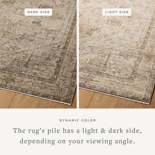 Loloi Priscilla PRL-07 Beige/Earth Area Rug Lifestyle Image