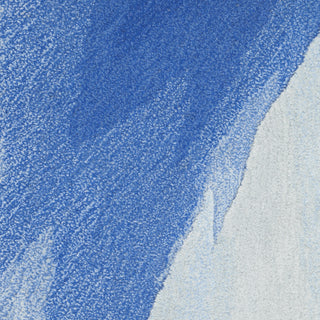 Nourison Prismatic PRS37 Blue Multicolor Area Rug Swatch Image
