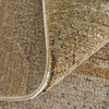 Feizy Pearson 39SBF Green/Ivory/Brown Area Rug Detail Image