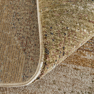 Feizy Pearson 39SBF Green/Ivory/Brown Area Rug Detail Image