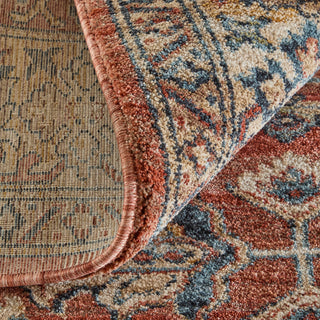 Feizy Pearson 39SKF Red/Tan/Blue Area Rug Detail Image