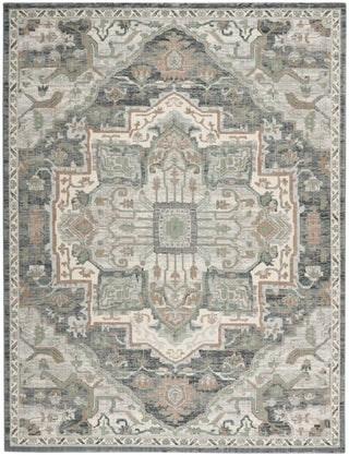 Nourison Parisa PSA01 Grey Sage Area Rug main image