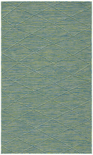 Nourison Practical Solutions PSL01 Blue Green Area Rug Main Image