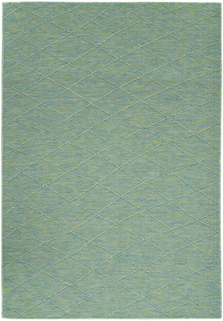 Nourison Practical Solutions PSL01 Blue Green Area Rug Main Image