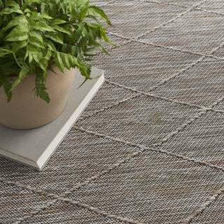 Nourison Practical Solutions PSL01 Grey Mocha Area Rug Corner Image