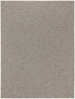 Nourison Practical Solutions PSL01 Grey Mocha Area Rug main image