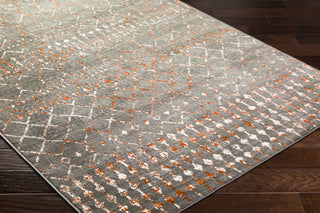 Livabliss Pisa PSS-2369 Grey Area Rug