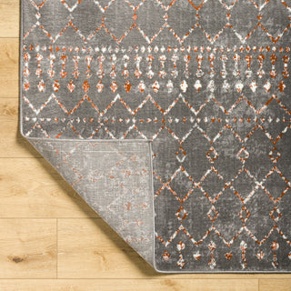 Livabliss Pisa PSS-2369 Grey Area Rug