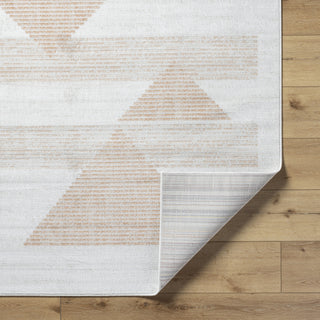 Livabliss Pisa PSS-2389 Light Gray Area Rug Pile