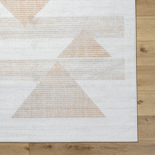 Livabliss Pisa PSS-2389 Light Gray Area Rug Detail Image