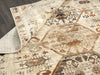 Kalaty Petra PT1110 Beige Area Rug Lifestyle Image Feature