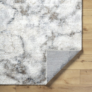 Livabliss Portofino PTF-2318 Light Silver Area Rug Pile
