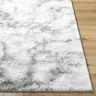 Livabliss Portofino PTF-2318 Light Silver Area Rug Angle