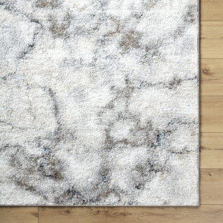 Livabliss Portofino PTF-2318 Light Silver Area Rug Detail Image