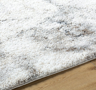 Livabliss Portofino PTF-2318 Light Silver Area Rug Detail