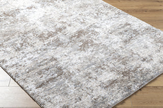 Livabliss Portofino PTF-2319 Slate Area Rug Corner Shot