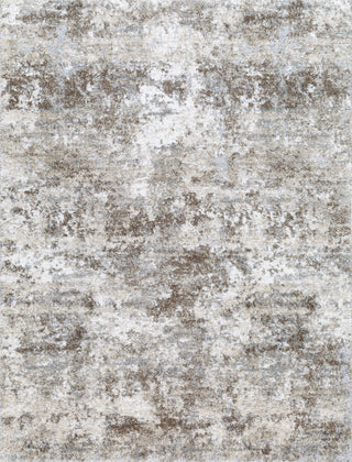 Livabliss Portofino PTF-2319 Slate Area Rug main image