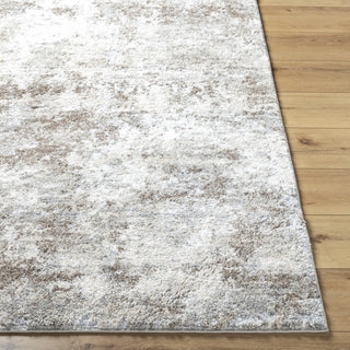 Livabliss Portofino PTF-2319 Slate Area Rug Angle