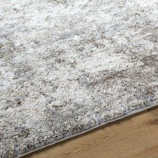 Livabliss Portofino PTF-2319 Slate Area Rug Detail