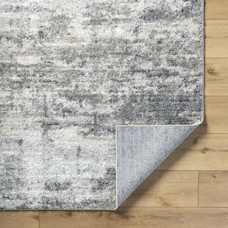 Livabliss Portofino PTF-2320 Light Silver Area Rug Pile