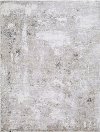 Livabliss Portofino PTF-2325 Area Rug main image