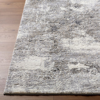 Livabliss Portofino PTF-2325 Area Rug Angle