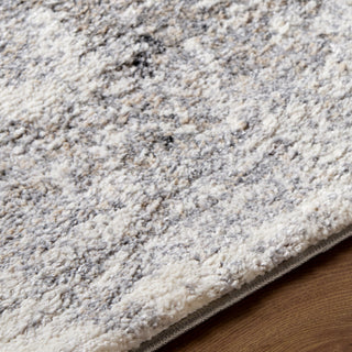 Livabliss Portofino PTF-2325 Area Rug Detail