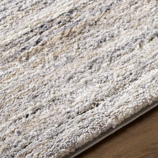 Livabliss Portofino PTF-2326 Area Rug Detail