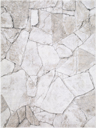 Livabliss Portofino PTF-2327 Area Rug main image