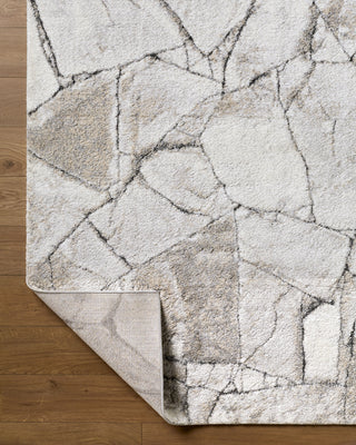 Livabliss Portofino PTF-2327 Area Rug Pile