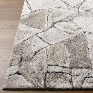 Livabliss Portofino PTF-2327 Area Rug Angle