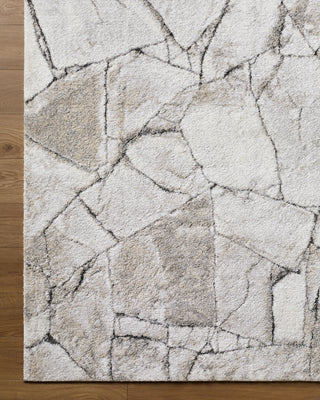 Livabliss Portofino PTF-2327 Area Rug Overhead Image
