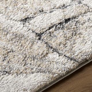 Livabliss Portofino PTF-2327 Area Rug Detail