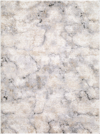 Livabliss Portofino PTF-2328 Area Rug main image