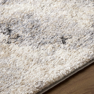Livabliss Portofino PTF-2328 Area Rug Detail