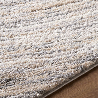 Livabliss Portofino PTF-2329 Area Rug Detail
