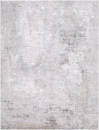 Livabliss Portofino PTF-2330 Area Rug main image