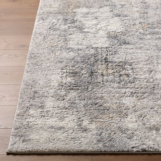 Livabliss Portofino PTF-2330 Area Rug Angle