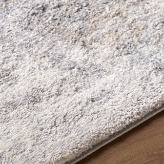 Livabliss Portofino PTF-2330 Area Rug Detail