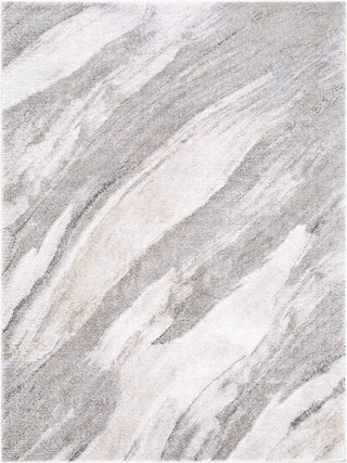 Livabliss Portofino PTF-2331 Area Rug main image