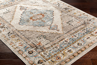 Livabliss Pertek PTK-2311 Area Rug Corner Shot