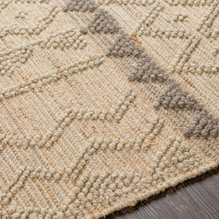 Surya Preston PTN-2301 Area Rug Detail