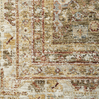 Nourison Petra PTR01 Green Area Rug Swatch Image